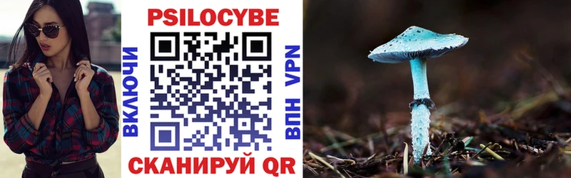 Купить закладки  Георгиевск  Псилоцибиновые грибы Psilocybe 